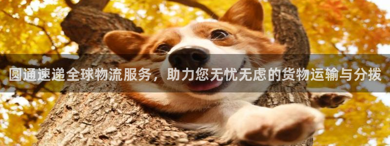 28圈黑钱:圆通速递全球物流服务,助