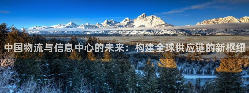 28圈.ccmpc29官网版:中国物