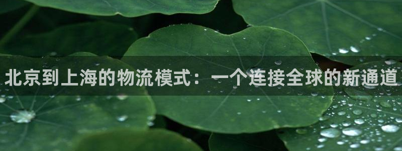 28圈app赢了500万